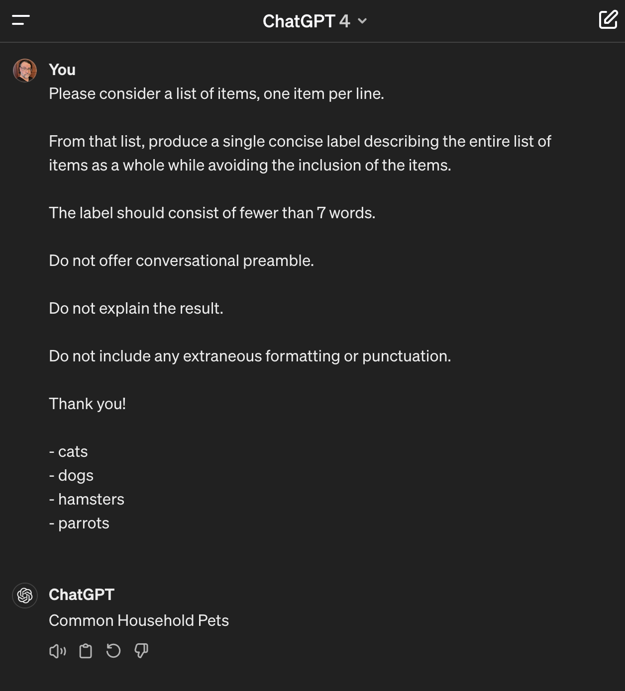 a screenshot of a transcript working with ChatGPT